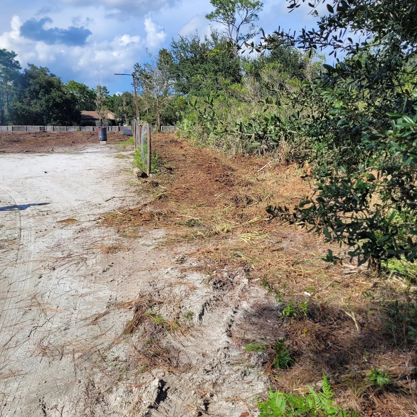 Brush cleared along a fence line by forestry mulching in St. Cloud, FL